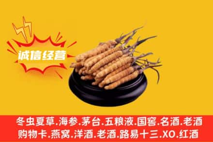 固原回收冬虫夏草